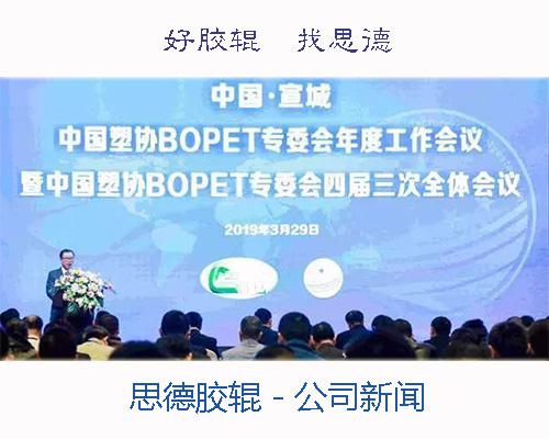 开云手机客户端登录入口参加2019宣城塑协会议